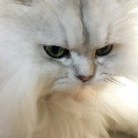 RIRIKAさんのプロフィールアイコン