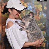 Kanarimさんのプロフィールアイコン
