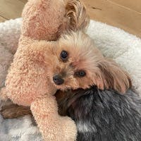 ふみえさんのプロフィールアイコン