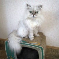 Masaki Komatsuさんのプロフィールアイコン