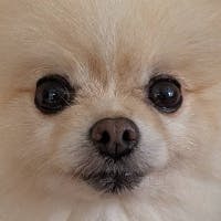 mahoさんのプロフィールアイコン