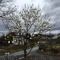 池田弘道さんのプロフィールアイコン