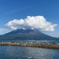 ゆのたつさんのプロフィールアイコン