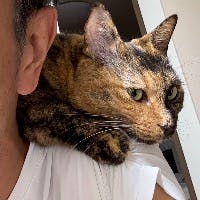 土屋　健さんのプロフィールアイコン