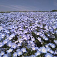 MKさんのプロフィールアイコン