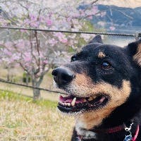 すずさんのプロフィールアイコン