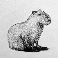 Gさんのプロフィールアイコン