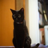 Timmyさんのプロフィールアイコン