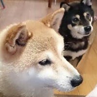 江川雅典さんのプロフィールアイコン