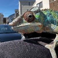 じゅんきさんのプロフィールアイコン