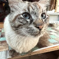 ちろるさんのプロフィールアイコン