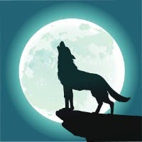 アガパンサスさんのプロフィールアイコン