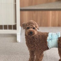 森たぐいさんのプロフィールアイコン