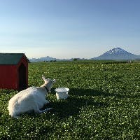 ＡＬＧ酒井さんのプロフィールアイコン