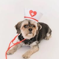 Lucyさんのプロフィールアイコン