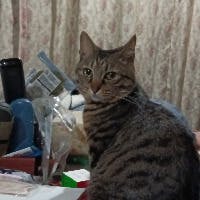 Y.Sdonoaさんのプロフィールアイコン