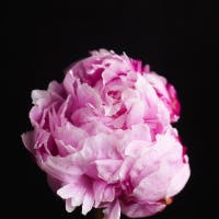鈴木えみさんのプロフィールアイコン