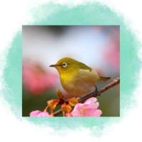 ユリアさんのプロフィールアイコン
