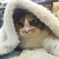 敬美さんのプロフィールアイコン