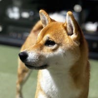 伊藤恵美さんのプロフィールアイコン