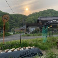 勝部嘉樹さんのプロフィールアイコン