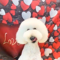 kerotomoさんのプロフィールアイコン