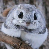 creさんのプロフィールアイコン