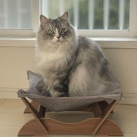 senkouさんのプロフィールアイコン