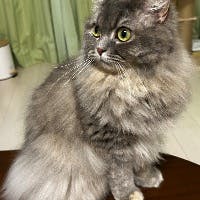 田上英樹さんのプロフィールアイコン