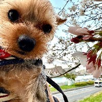 木下　元さんのプロフィールアイコン
