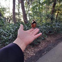 務台俊介さんのプロフィールアイコン