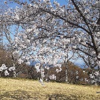 konishiさんのプロフィールアイコン