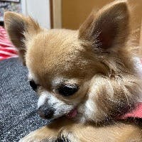 こうやまさんのプロフィールアイコン