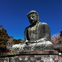 shimoさんのプロフィールアイコン