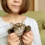 猫丸のんさんのプロフィールアイコン