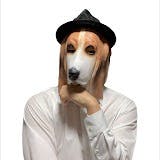インテリア業界の犬さんのプロフィールアイコン