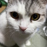 MITOさんのプロフィールアイコン