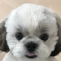 鈴木 康之さんのプロフィールアイコン