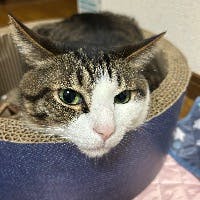 みかさんのプロフィールアイコン