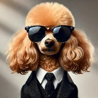 Shimazakiさんのプロフィールアイコン