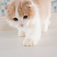 青木利空さんのプロフィールアイコン