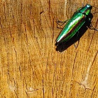 林和道さんのプロフィールアイコン