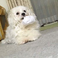 長谷部美佐緒さんのプロフィールアイコン