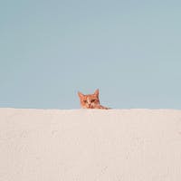 山田さんのプロフィールアイコン