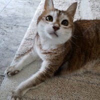 鈴木　朝日さんのプロフィールアイコン