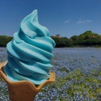 闇夜の鴉さんのプロフィールアイコン
