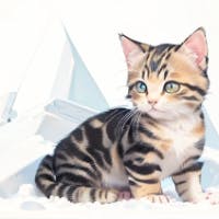 加賀山敏行さんのプロフィールアイコン
