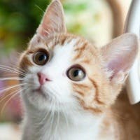 パートさんのプロフィールアイコン