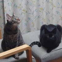 fumitさんのプロフィールアイコン