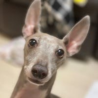 shuichi takadaさんのプロフィールアイコン